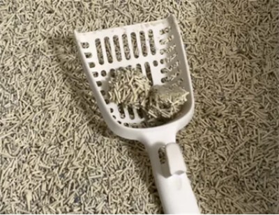 猫砂测评分析 猫砂测评分析