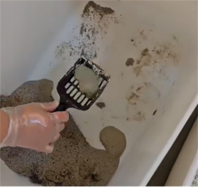 网易严选猫砂好吗 网易严选猫砂好吗