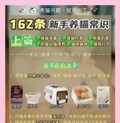 新手养猫的注意事项（为你的新成员提供最佳照顾）