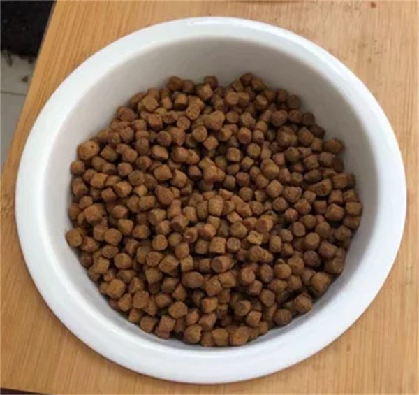 进口猫粮测评 进口猫粮测评