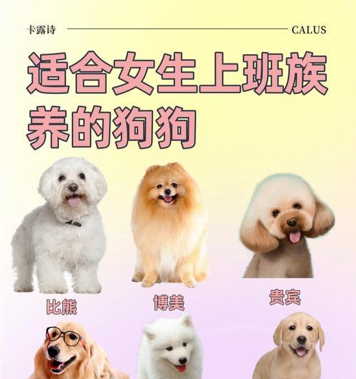 文章详情图片