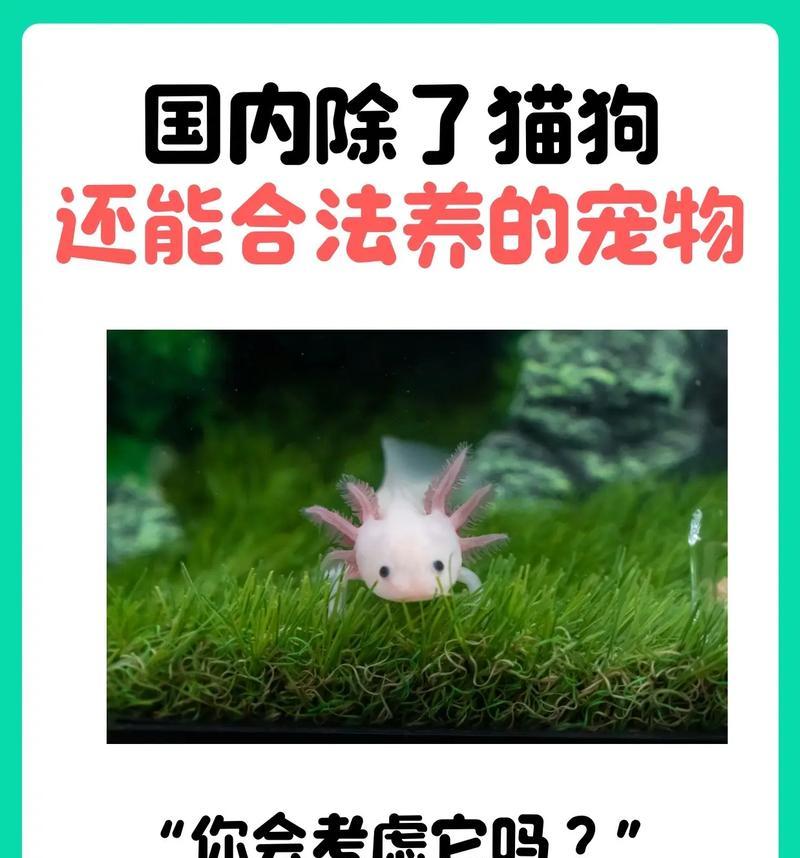 文章详情图片