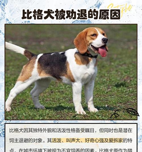 文章详情图片