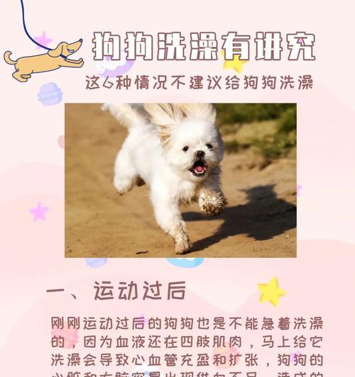 文章详情图片