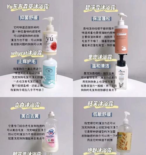 文章详情图片