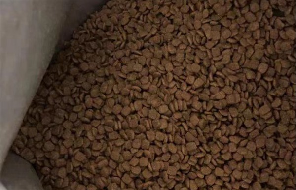 喵梵思猫粮测评