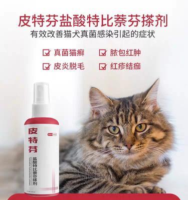 文章详情图片