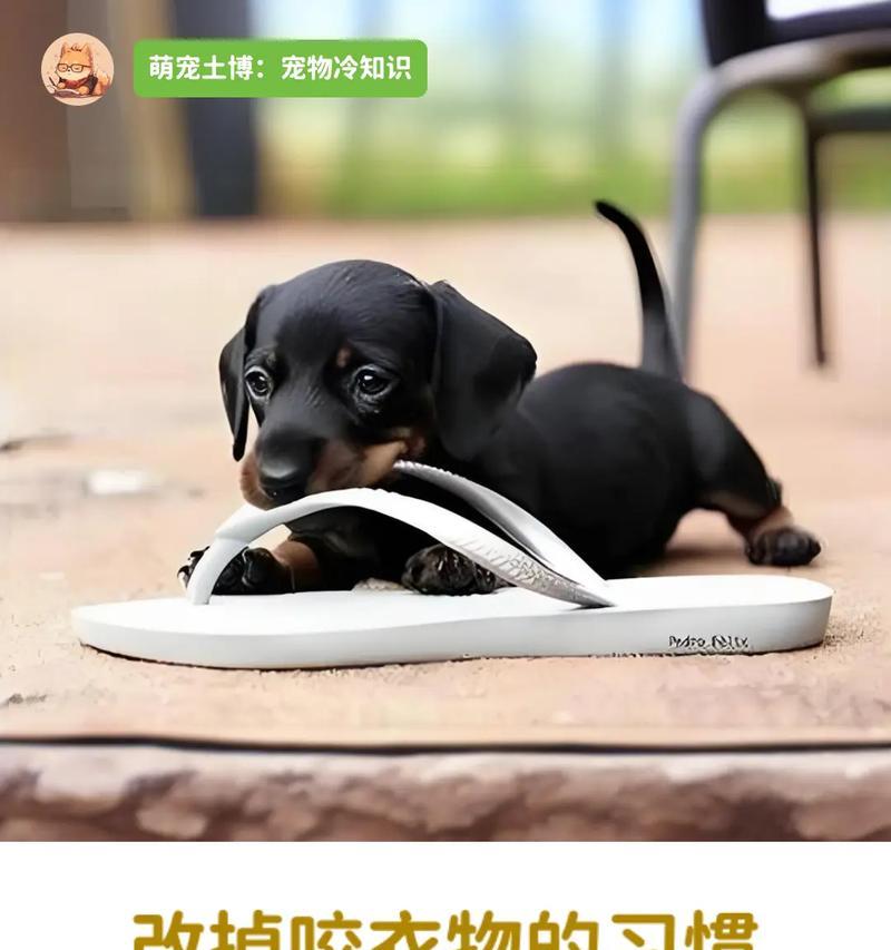 文章详情图片