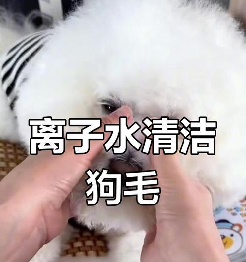 文章详情图片