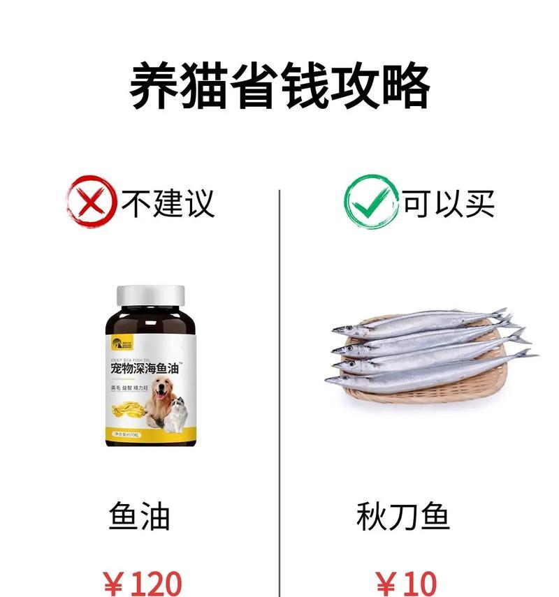文章详情图片