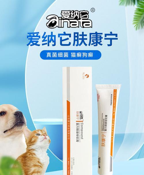 猫咪外伤消炎，照顾小猫咪健康的必备知识（详解如何正确处理猫咪外伤，保护它们的健康与幸福）