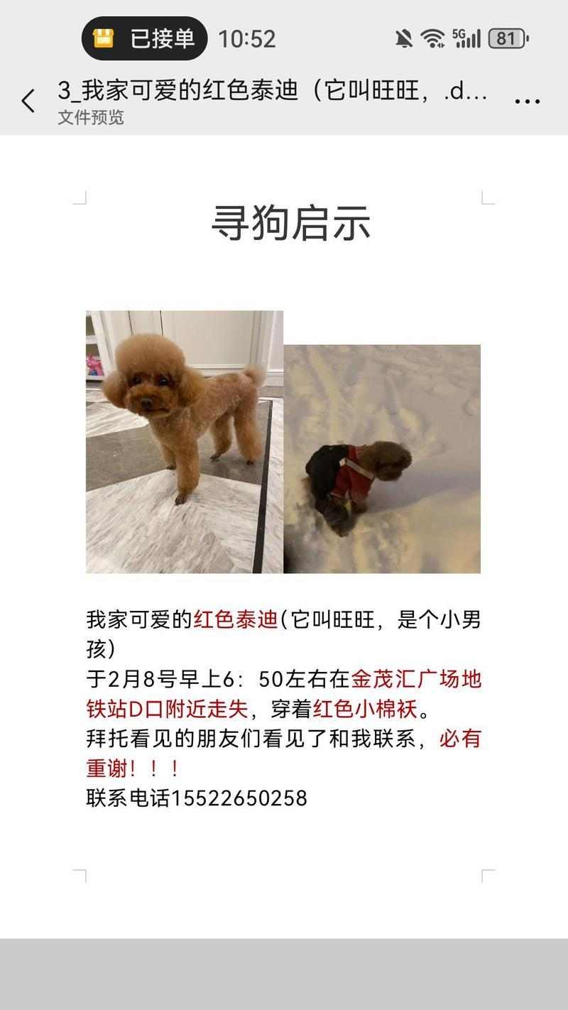 如何寻回丢失的狗狗（通过以下关键步骤，让你的狗狗重返温暖的怀抱）