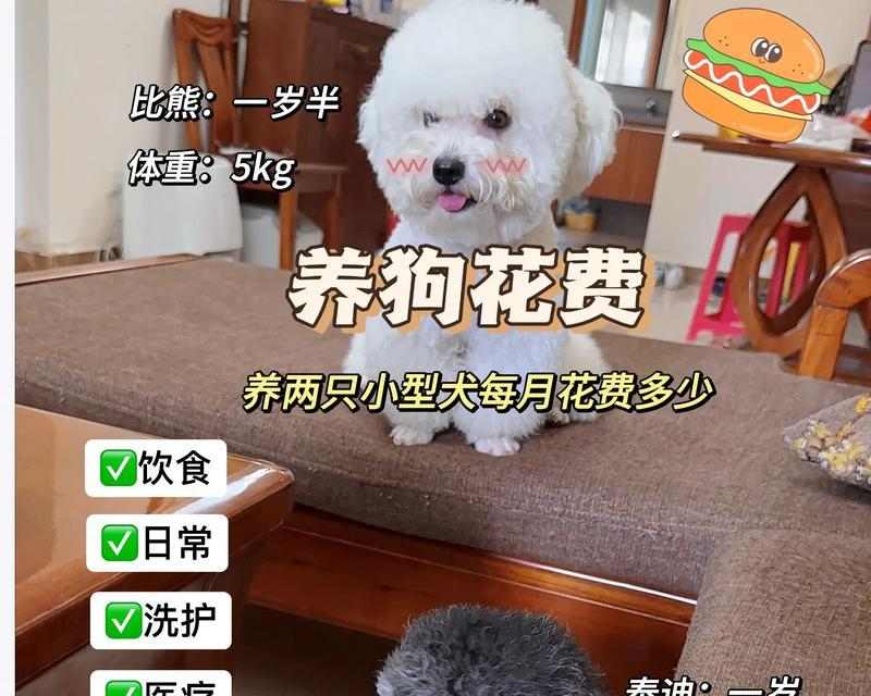 2个月的比熊宝宝喂养秘籍（科学喂养让宝宝健康成长）