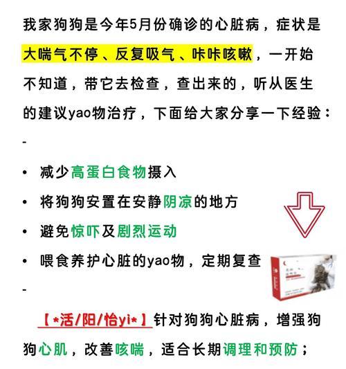 解析狗狗咳嗽的原因及处理方法（揭秘狗狗咳嗽的诱因与预防措施）