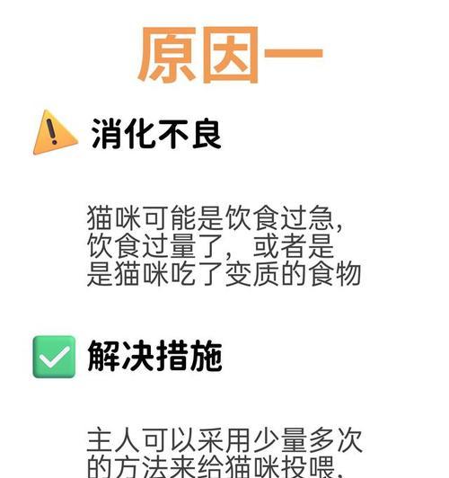 猫的饮食健康秘密（探索猫一天吐一次吃什么的真相）