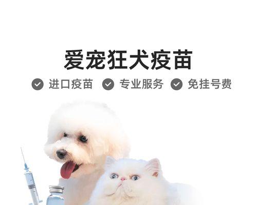 狗疫苗注射后多久可以洗澡？（狗疫苗注射后的洗澡时间安排及注意事项）