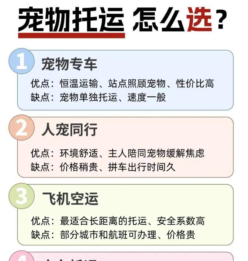 宠物托运手续一览（了解宠物托运手续，确保安全快捷）