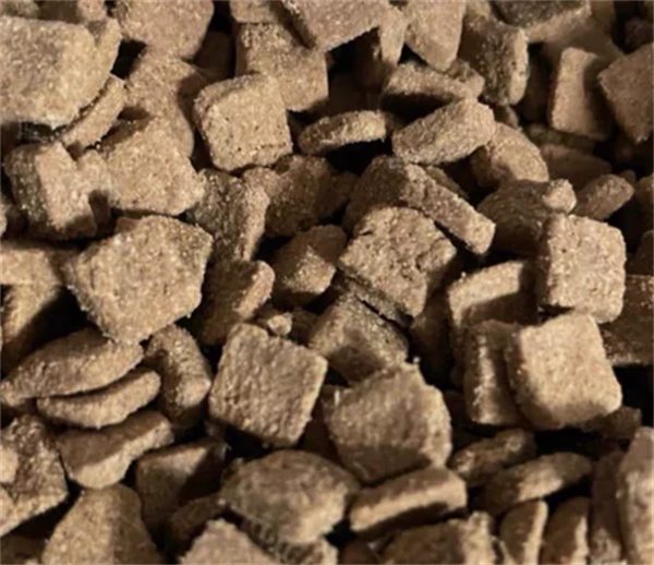 海洋之星的狗粮好吗