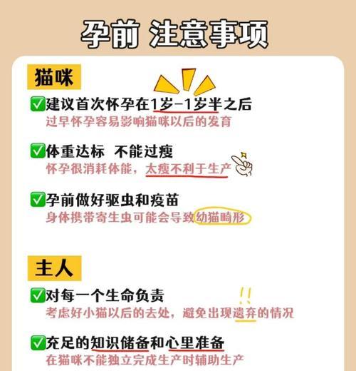 猫咪怀孕多久能生（猫咪妊娠周期及注意事项）