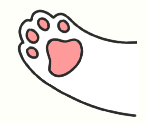 猫咪不给摸爪子怎么办 猫咪不给摸爪子怎么办