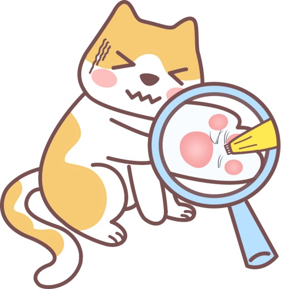 猫咪不给碰爪子 猫咪不给碰爪子