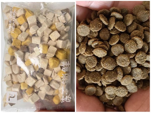 国产狗粮测评 国产狗粮测评