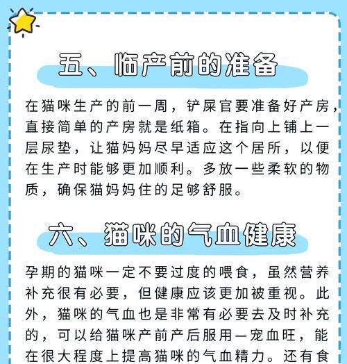 猫咪怀孕多久开始增加食量？（猫咪的食量随孕期变化，关键是确保营养均衡）