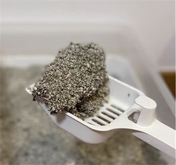 埃尔西博士矿砂 埃尔西博士矿砂