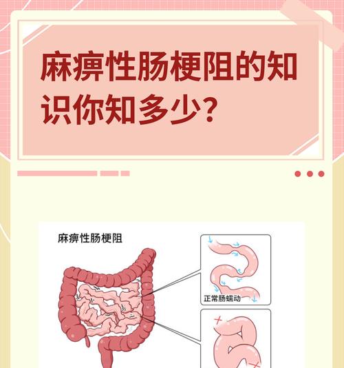 小狗肠梗阻的症状及识别方法（了解小狗肠梗阻的相关症状，及早发现并求助兽医）