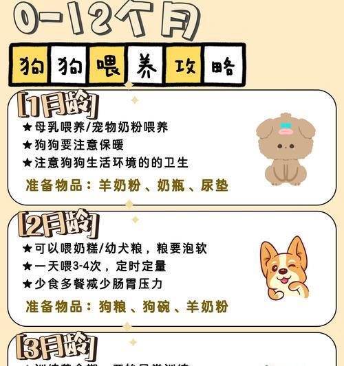 狗狗吃排骨炖需要多久？（探究狗狗吃排骨炖的最佳时间和做法）