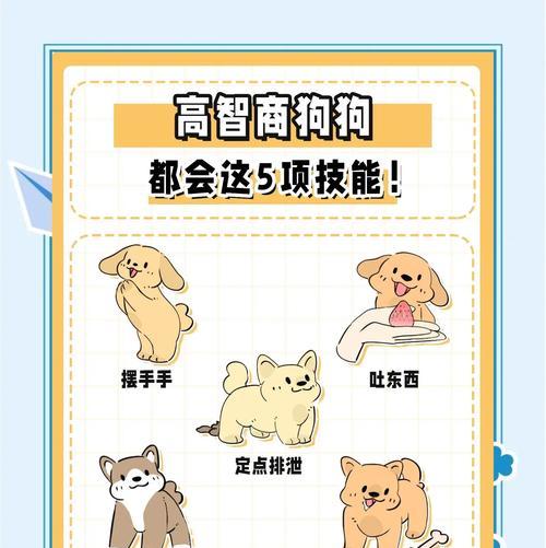 犬的智商（揭开犬类智慧的神秘面纱）