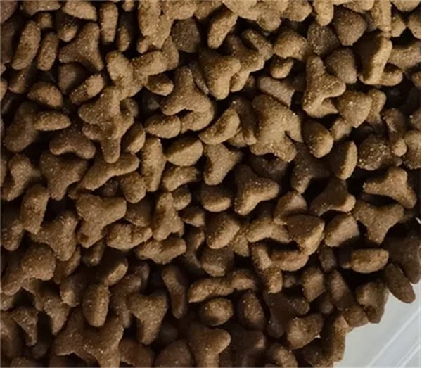 好主人猫粮好吗