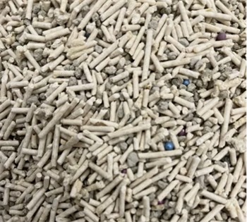 养了个毛孩猫砂测评