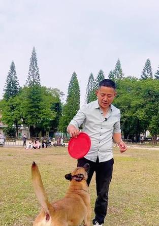 文章详情图片