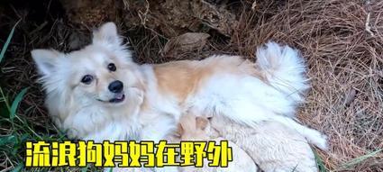 文章详情图片