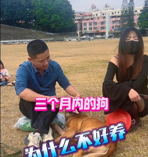 文章详情图片