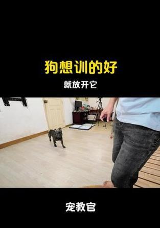 文章详情图片