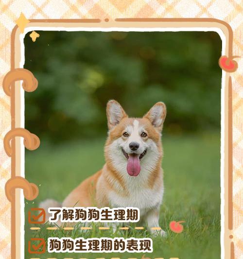 文章详情图片