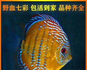 文章详情图片