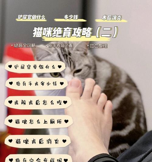 文章详情图片