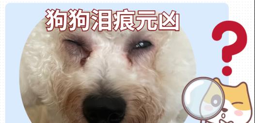 文章详情图片