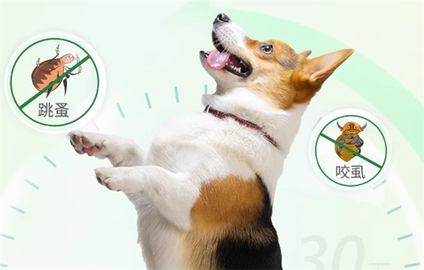驱虫药测评