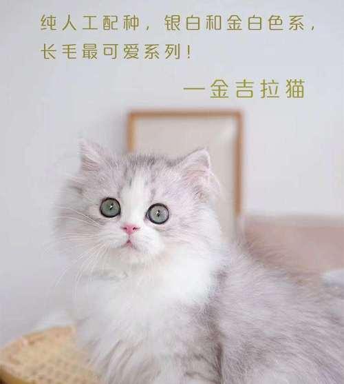 文章详情图片