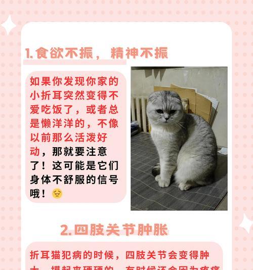 文章详情图片