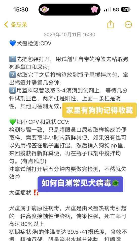 文章详情图片