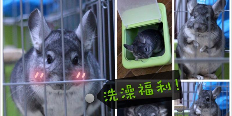 文章详情图片