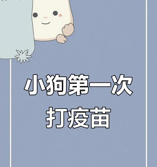 文章详情图片