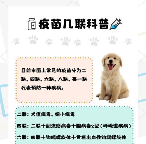 文章详情图片