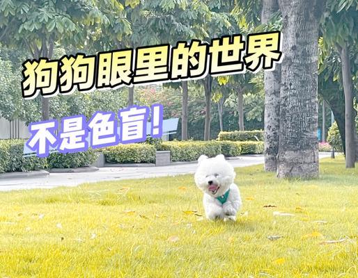 文章详情图片