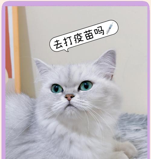 文章详情图片